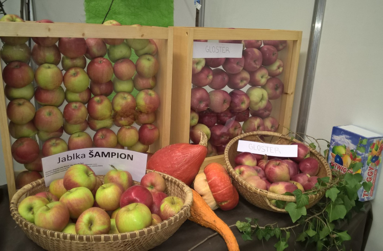 V Pěnčíně chystají tradiční velkou výstavu jablek 